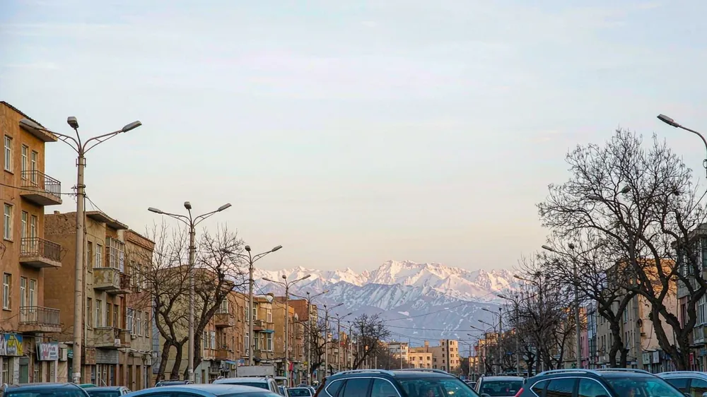 Uzbekistán: 99% de eléctricos chinos, riesgo único