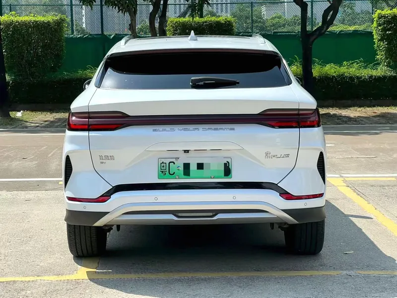BYD Song PLUS New Energy 2024 ed.
