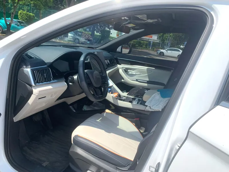 BYD Song PLUS New Energy 2024 ed.