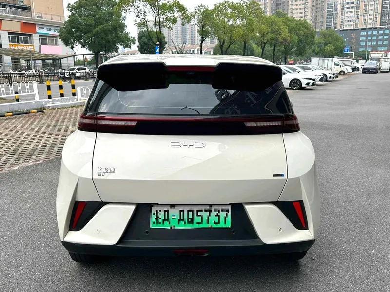 BYD سي غول موديل 2025
