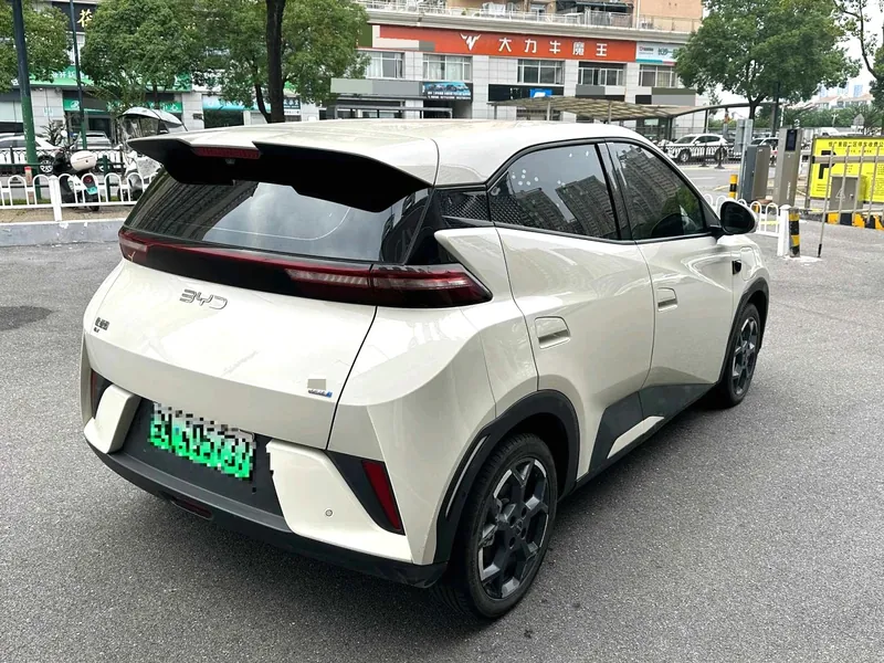 BYD سي غول موديل 2025
