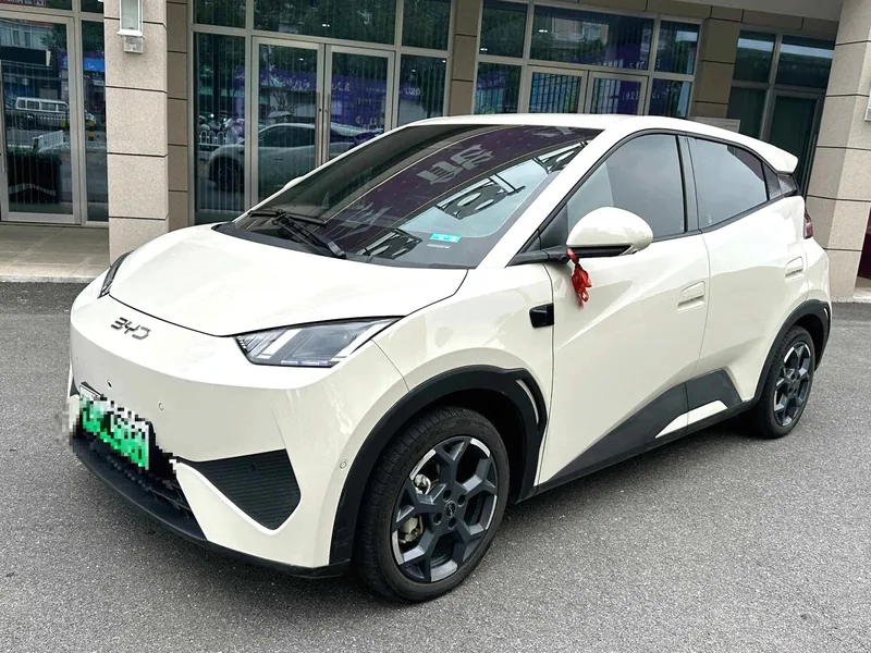 BYD سي غول موديل 2025